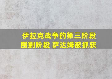 伊拉克战争的第三阶段围剿阶段 萨达姆被抓获